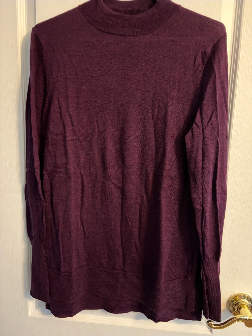 Badgley Mischka Deep Plum Long Sleeve Turtleneck Sweater Women’s